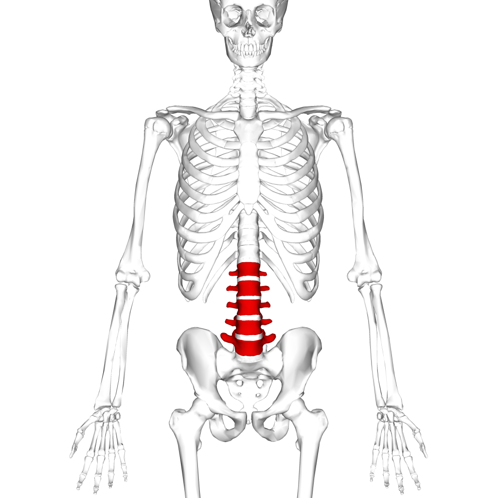 Learn about lumbar / spinal stenosis here.